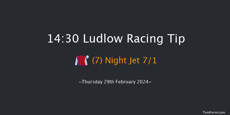 Ludlow  14:30 Handicap Hurdle (Class 5) 16f Wed 21st Feb 2024