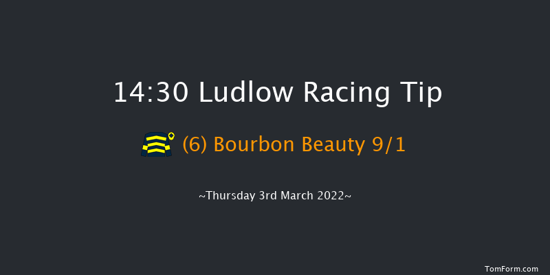 Ludlow 14:30 Handicap Hurdle (Class 3) 24f Wed 23rd Feb 2022