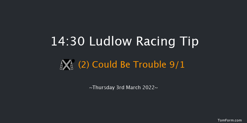 Ludlow 14:30 Handicap Hurdle (Class 3) 24f Wed 23rd Feb 2022