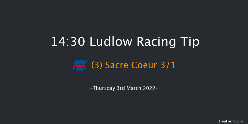 Ludlow 14:30 Handicap Hurdle (Class 3) 24f Wed 23rd Feb 2022