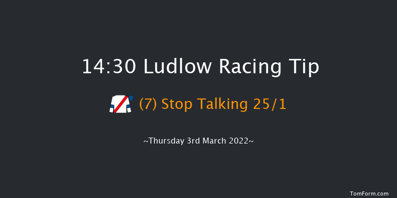 Ludlow 14:30 Handicap Hurdle (Class 3) 24f Wed 23rd Feb 2022