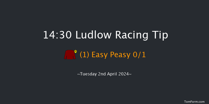 Ludlow  14:30 Novices Hurdle (Class 4) 16f Thu 21st Mar 2024