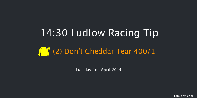 Ludlow  14:30 Novices Hurdle (Class 4) 16f Thu 21st Mar 2024