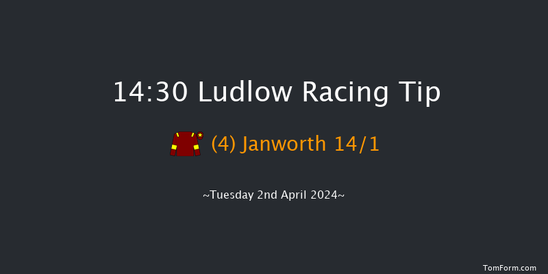 Ludlow  14:30 Novices Hurdle (Class 4) 16f Thu 21st Mar 2024