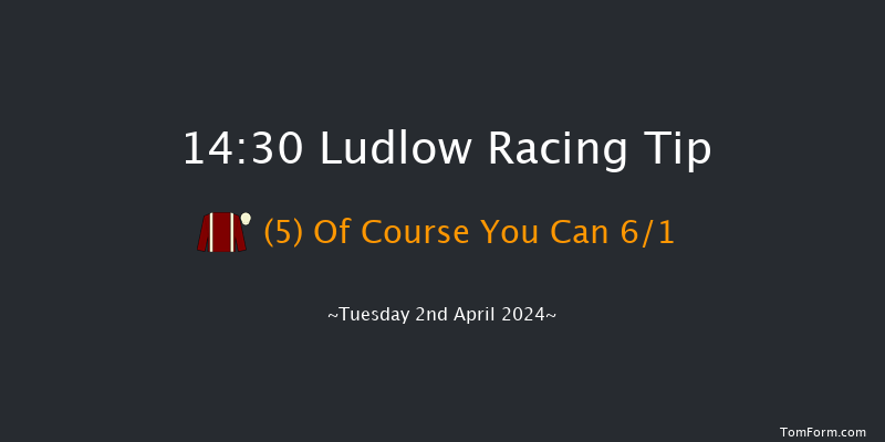 Ludlow  14:30 Novices Hurdle (Class 4) 16f Thu 21st Mar 2024