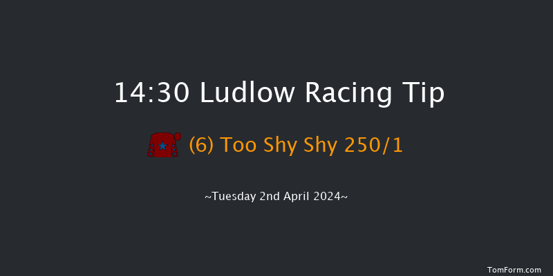 Ludlow  14:30 Novices Hurdle (Class 4) 16f Thu 21st Mar 2024