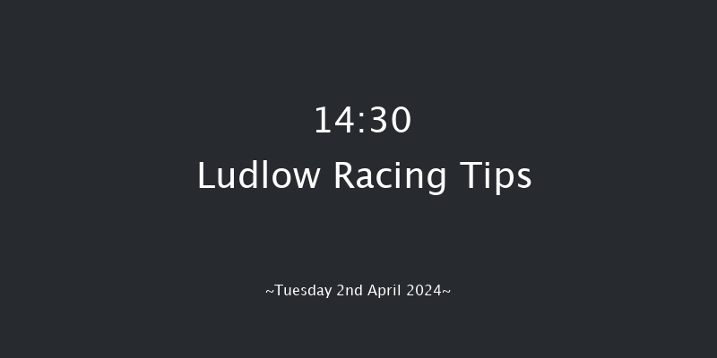 Ludlow  14:30 Novices Hurdle (Class 4) 16f Thu 21st Mar 2024