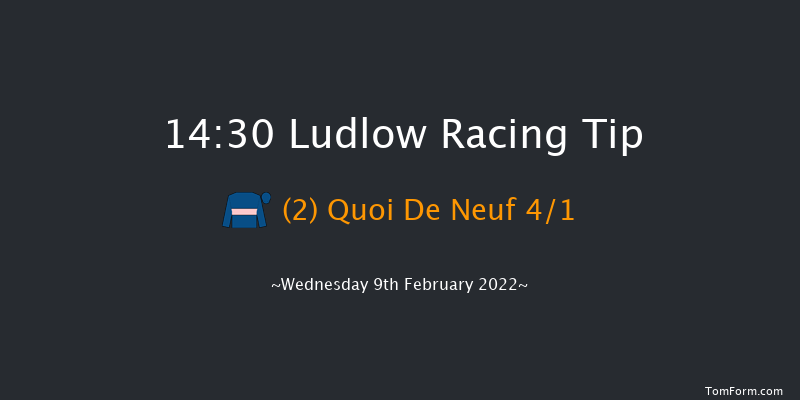 Ludlow 14:30 Handicap Chase (Class 3) 20f Thu 20th Jan 2022