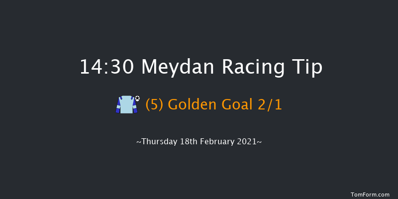 New Jaguar XF Handicap - Dirt Meydan 14:30 1m 10 run New Jaguar XF Handicap - Dirt Sat 13th Feb 2021