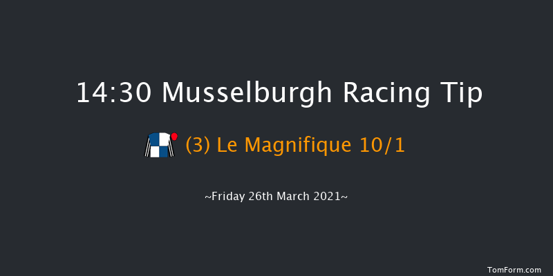 ITM Northern Lights Juvenile Hurdle Series Final (Handicap Hurdle) (GBB Race) Musselburgh 14:30 Handicap Hurdle (Class 2) 16f Wed 3rd Mar 2021