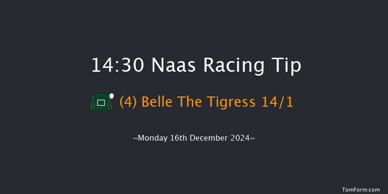 Naas  14:30 Maiden Hurdle 16f Sun 10th Nov 2024