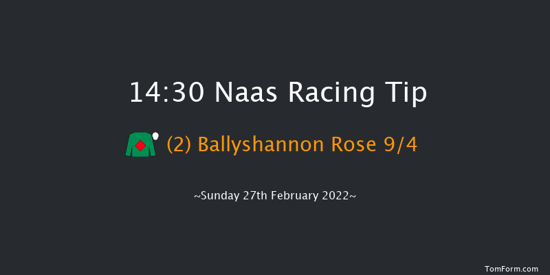 Naas 14:30 Handicap Chase 20f Sat 12th Feb 2022