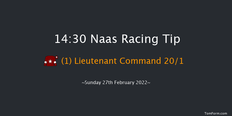 Naas 14:30 Handicap Chase 20f Sat 12th Feb 2022