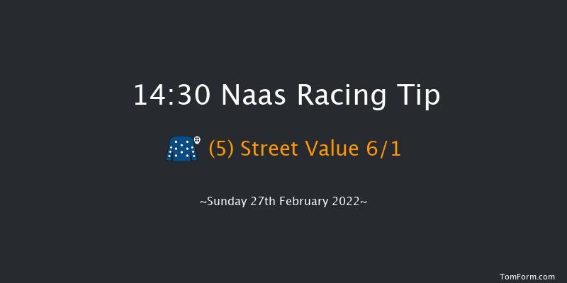 Naas 14:30 Handicap Chase 20f Sat 12th Feb 2022