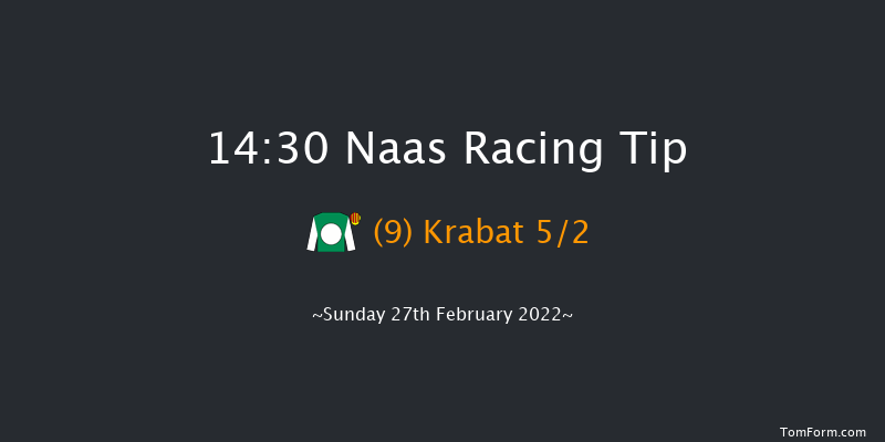 Naas 14:30 Handicap Chase 20f Sat 12th Feb 2022