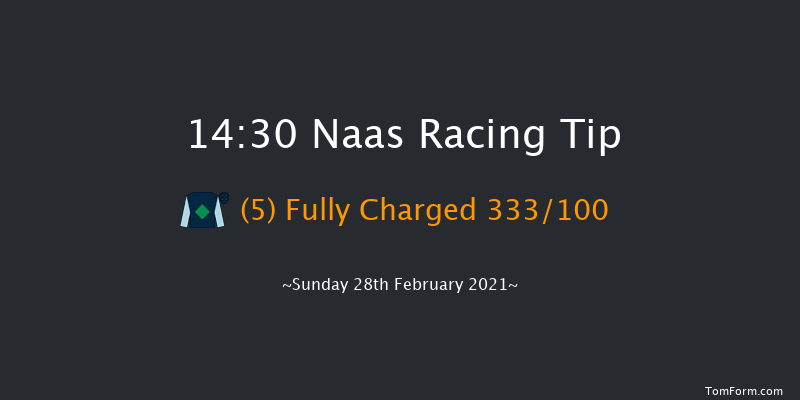 Paddy Power 'From The Horse's Mouth' Podcast Novice Handicap Chase (Grade B) Naas 14:30 Handicap Chase 20f Sat 13th Feb 2021