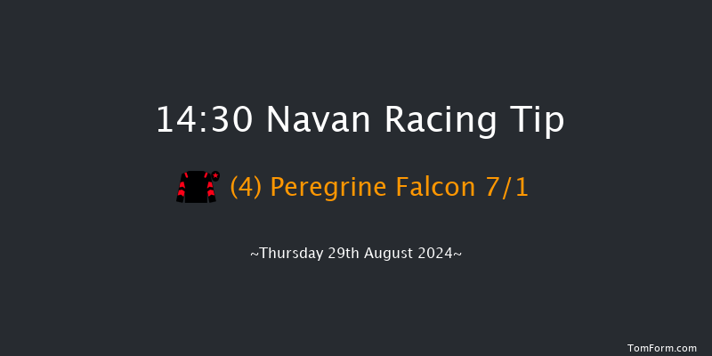 Navan  14:30 Handicap 6f Sat 13th Jul 2024