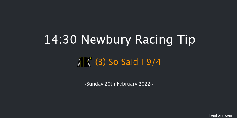 Newbury 14:30 Handicap Hurdle (Class 4) 24f Sat 12th Feb 2022