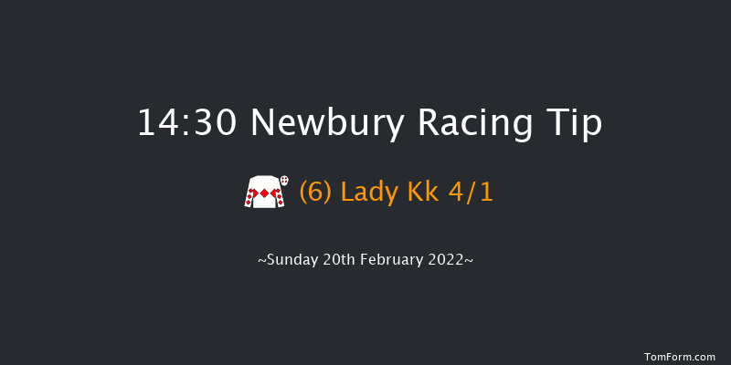 Newbury 14:30 Handicap Hurdle (Class 4) 24f Sat 12th Feb 2022