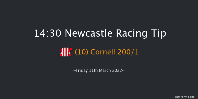 Newcastle 14:30 Novices Hurdle (Class 4) 16f Thu 10th Mar 2022