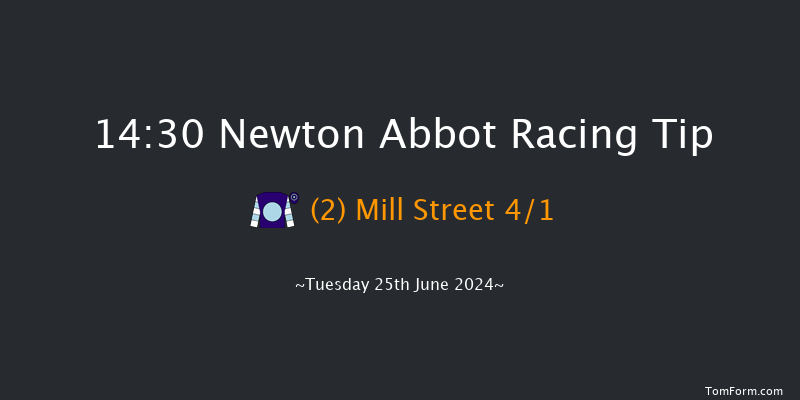 Newton Abbot  14:30 Maiden Hurdle
(Class 4) 17f Fri 14th Jun 2024