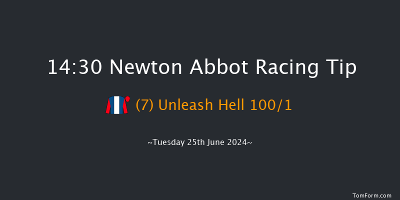 Newton Abbot  14:30 Maiden Hurdle
(Class 4) 17f Fri 14th Jun 2024