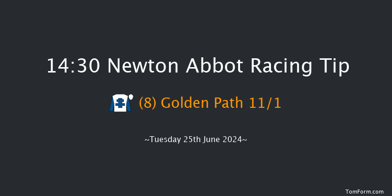 Newton Abbot  14:30 Maiden Hurdle
(Class 4) 17f Fri 14th Jun 2024