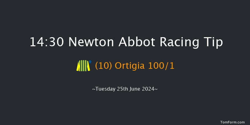 Newton Abbot  14:30 Maiden Hurdle
(Class 4) 17f Fri 14th Jun 2024