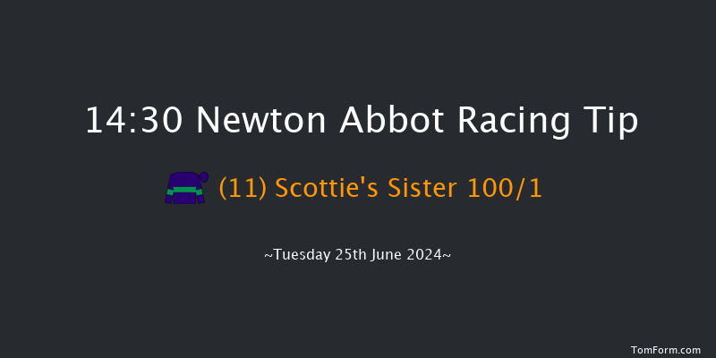 Newton Abbot  14:30 Maiden Hurdle
(Class 4) 17f Fri 14th Jun 2024