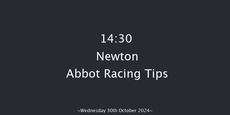 Newton Abbot  14:30 Handicap Chase (Class 4) 16f Fri 20th Sep 2024