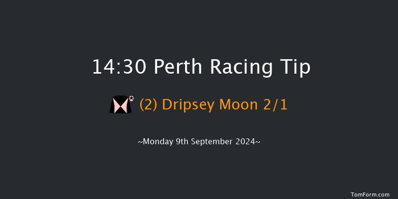 Perth  14:30 Handicap Chase (Class 3) 20f Sun 14th Jul 2024