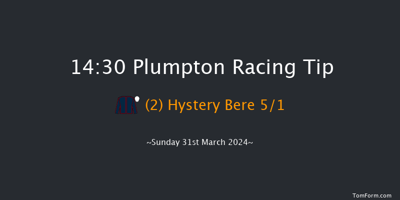 Plumpton  14:30 Handicap Chase (Class 3)
17f Mon 11th Mar 2024