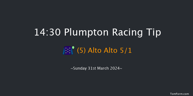 Plumpton  14:30 Handicap Chase (Class 3)
17f Mon 11th Mar 2024