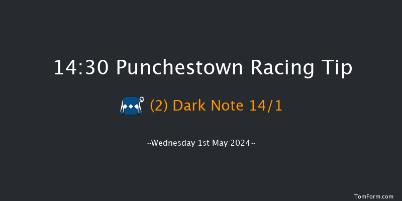 Punchestown  14:30 Handicap Hurdle 19f Tue 30th Apr 2024