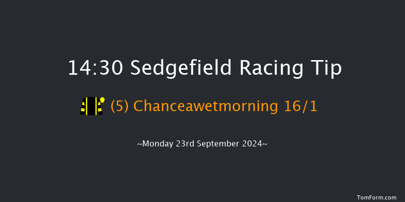 Sedgefield  14:30 Maiden Hurdle (Class 4) 17f  Fri 10th May 2024