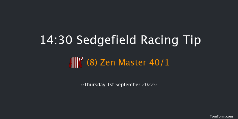 Sedgefield 14:30 Handicap Chase (Class 5) 21f Wed 24th Aug 2022