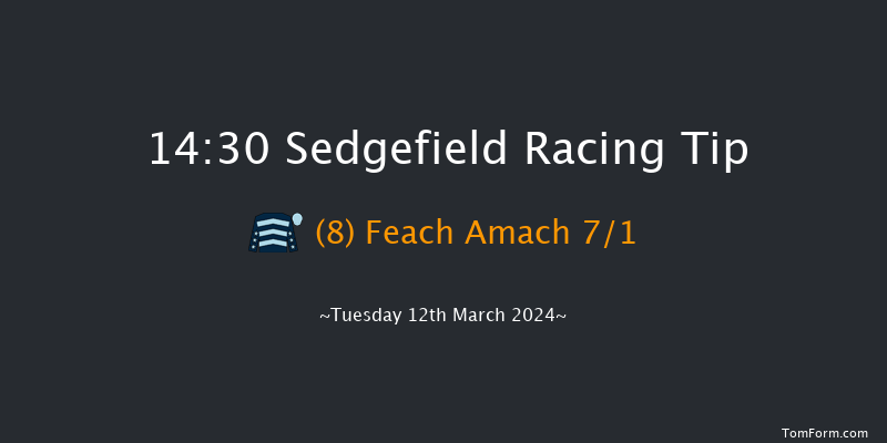 Sedgefield  14:30 Handicap Hurdle (Class 5)
20f Fri 23rd Feb 2024