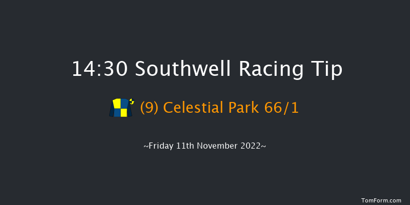 Southwell 14:30 Maiden Hurdle (Class 4) 16f Tue 1st Nov 2022