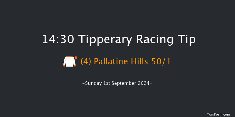 Tipperary  14:30 Maiden 8f Thu 4th Jul 2024