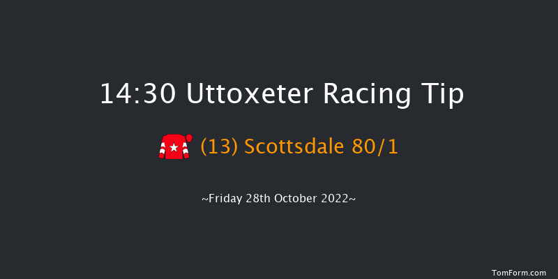 Uttoxeter 14:30 Handicap Chase (Class 5) 20f Fri 14th Oct 2022