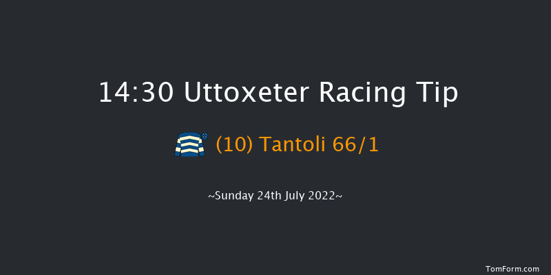 Uttoxeter 14:30 Maiden Hurdle (Class 4) 16f Fri 22nd Jul 2022