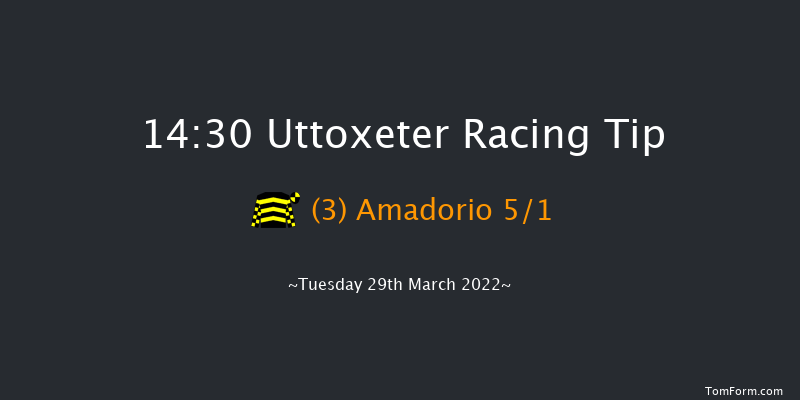 Uttoxeter 14:30 Maiden Hurdle (Class 4) 23f Sat 19th Mar 2022