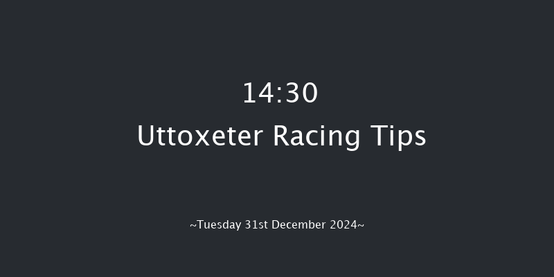 Uttoxeter  14:30 Handicap Chase (Class 5) 24f Fri 20th Dec 2024