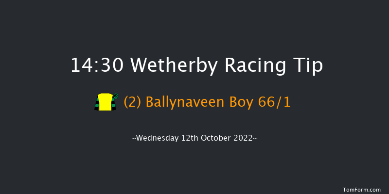 Wetherby 14:30 Conditions Hurdle (Class 4) 16f Tue 7th Jun 2022