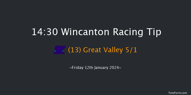 Wincanton 14:30 Handicap Hurdle (Class 5) 15f Sat 6th Jan 2024