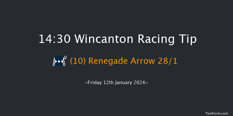 Wincanton 14:30 Handicap Hurdle (Class 5) 15f Sat 6th Jan 2024