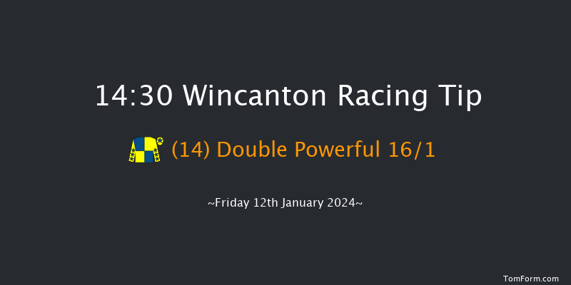 Wincanton 14:30 Handicap Hurdle (Class 5) 15f Sat 6th Jan 2024