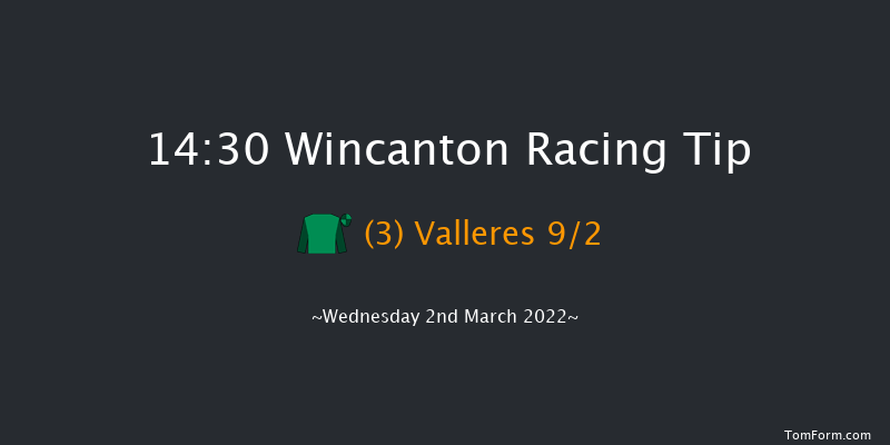 Wincanton 14:30 Handicap Chase (Class 3) 20f Sat 19th Feb 2022