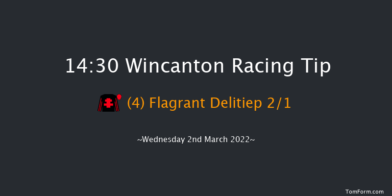 Wincanton 14:30 Handicap Chase (Class 3) 20f Sat 19th Feb 2022