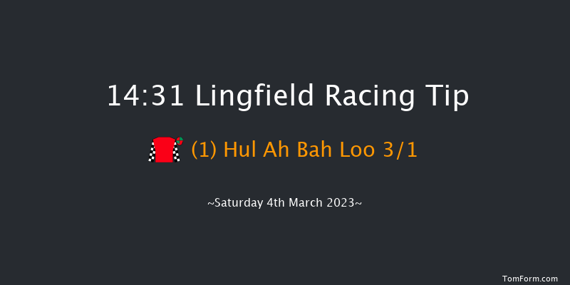 Lingfield 14:31 Handicap (Class 6) 8f Fri 3rd Mar 2023